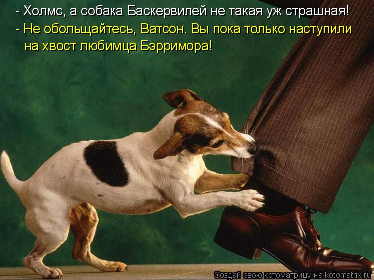 - Не обольщайтесь, Ватсон. Вы пока только наступили на хвост любимца Бэрримора! - Холмс, а собака Бас... Котоматрица: - Не обольщайтесь, Ватсон. Вы пока только наступили на хвост любимца Бэрримора! - Холмс, а собака Баскервилей не такая уж страшная!