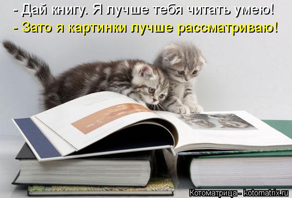 - Дай книгу. Я лучше тебя читать умею! - Зато я картинки лучше рассматриваю!... Котоматрица: - Дай книгу. Я лучше тебя читать умею! - Зато я картинки лучше рассматриваю!