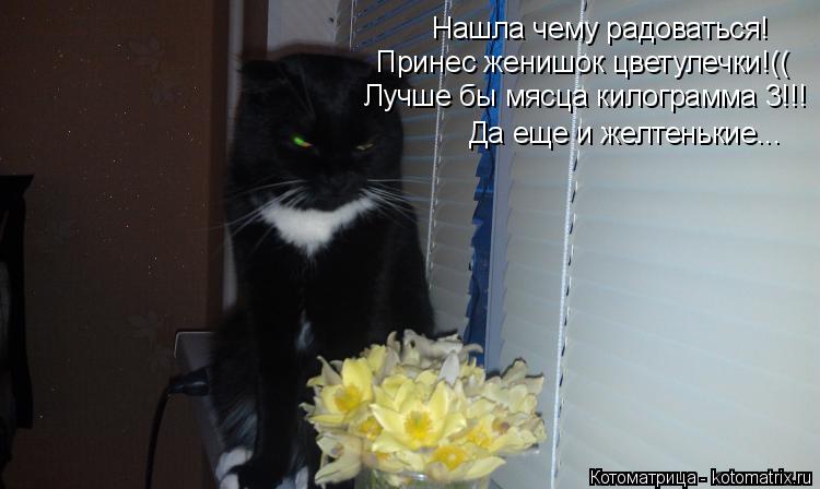 Котоматрица: Нашла чему радоваться! Принес женишок цветулечки!(( Лучше бы мясца килограмма 3!!! Да еще и желтенькие...