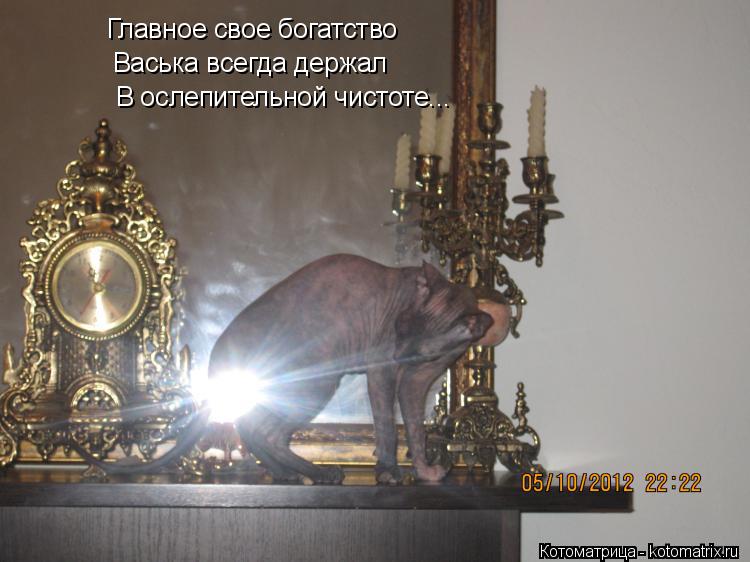Главное свое богатство Васька всегда держал В ослепительной чистоте...... Котоматрица: Главное свое богатство Васька всегда держал В ослепительной чистоте...
