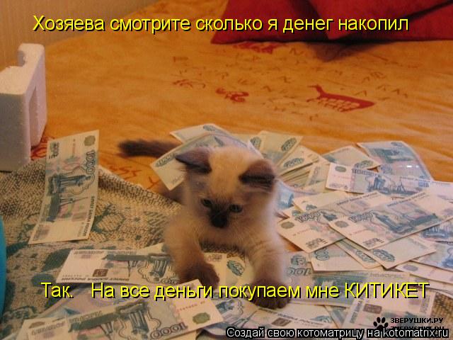 Хозяева смотрите сколько я денег накопил Так. На все деньги покупаем мне КИТИКЕТ... Котоматрица: Хозяева смотрите сколько я денег накопил Так. На все деньги покупаем мне КИТИКЕТ
