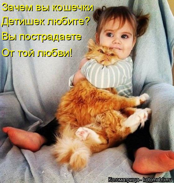 Зачем вы кошечки Детишек любите? Вы пострадаете От той любви!... Котоматрица: Зачем вы кошечки Детишек любите? Вы пострадаете От той любви!