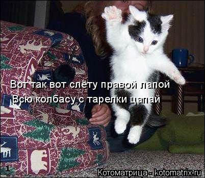 Вот так вот слёту правой лапой Всю колбасу с тарелки цапай... Котоматрица: Вот так вот слёту правой лапой Всю колбасу с тарелки цапай