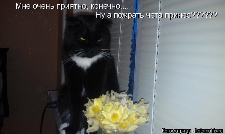 Мне очень приятно, конечно.... Ну а пожрать чета принес??????... Котоматрица: Мне очень приятно, конечно.... Ну а пожрать чета принес??????