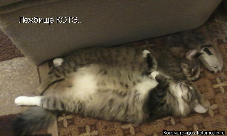 Котоматрица: Лежбище КОТЭ...