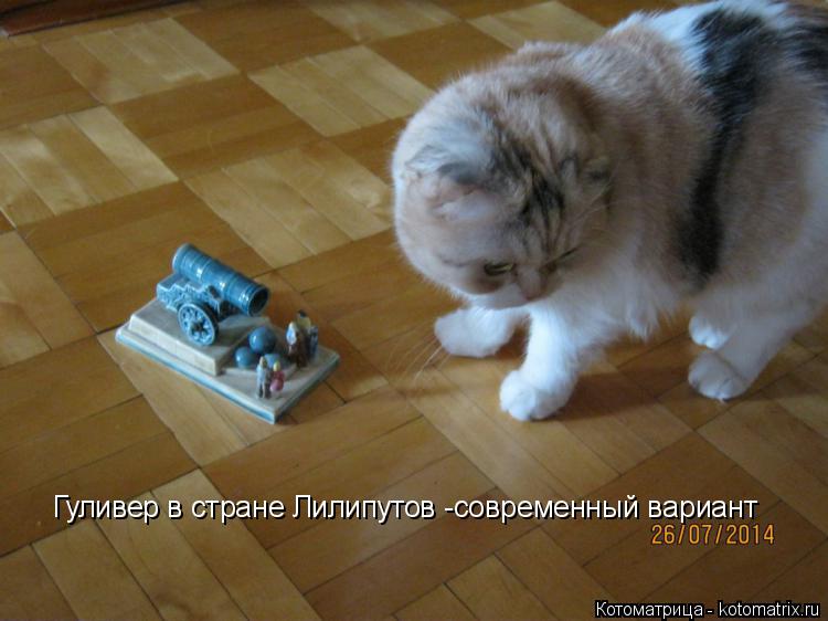Котоматрица: Гуливер в стране Лилипутов -современный вариант