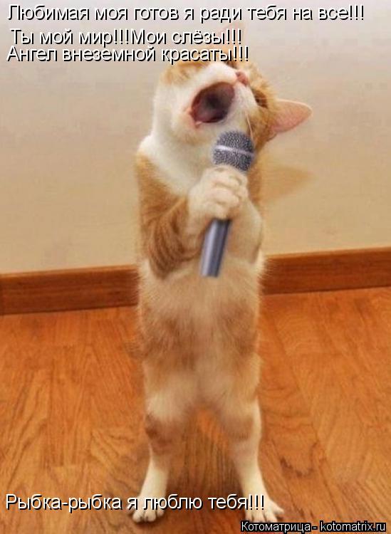 Любимая моя готов я ради тебя на все!!! Ты мой мир!!!Мои слёзы!!! Ангел внеземной красаты!!! Рыбка-ры... Котоматрица: Любимая моя готов я ради тебя на все!!! Ты мой мир!!!Мои слёзы!!! Ангел внеземной красаты!!! Рыбка-рыбка я люблю тебя!!!