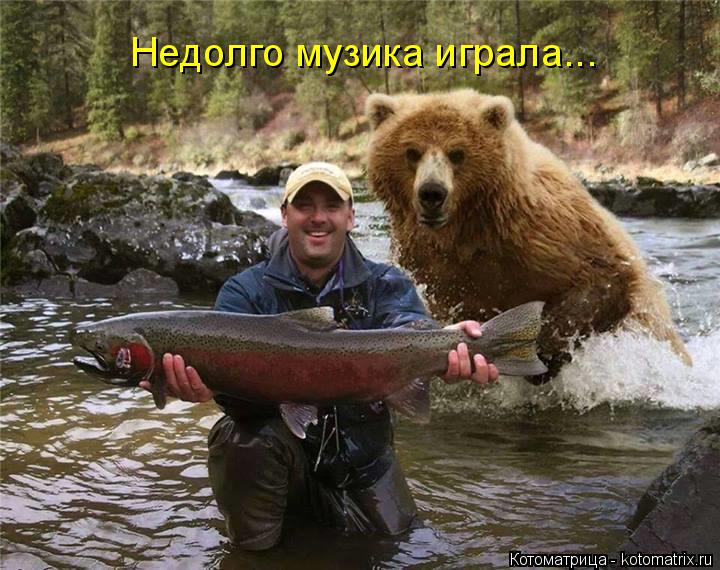 Недолго музика играла...... Котоматрица: Недолго музика играла...