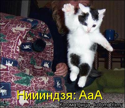 Котоматрица: Ниииндзя: AаА