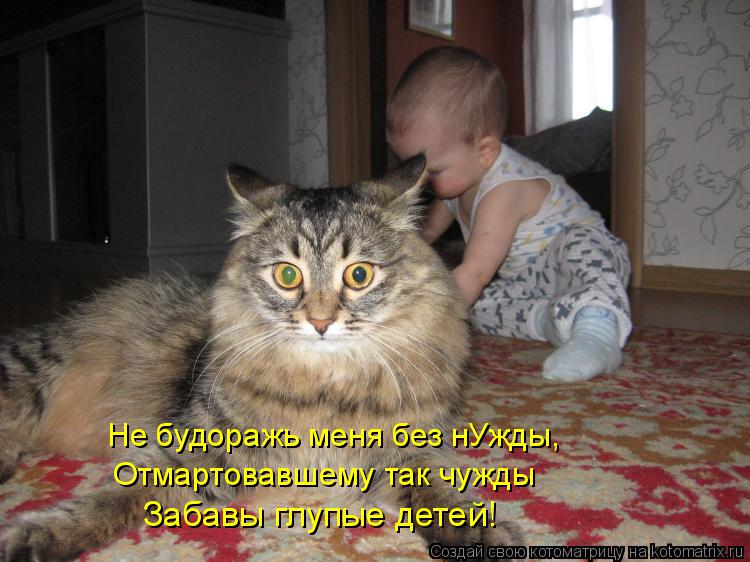 Котоматрица: Не будоражь меня без нУжды, Отмартовавшему так чужды Забавы глупые детей!