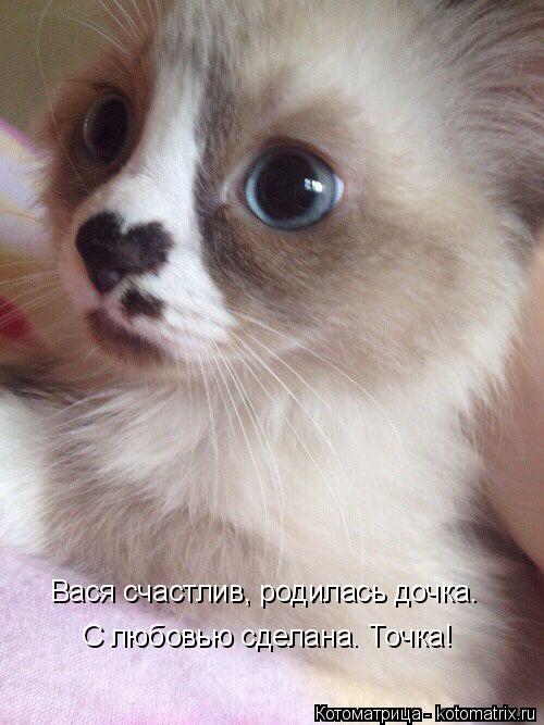 Котоматрица: С любовью сделана. Точка! Вася счастлив, родилась дочка.