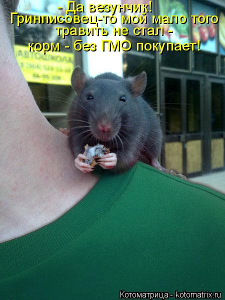 Котоматрица: - Да везунчик!  Гринписовец-то мой мало того травить не стал - корм - без ГМО покупает!