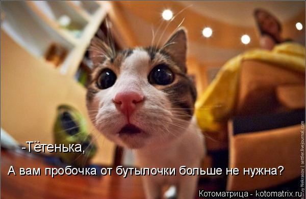 -Тетенька, А вам пробочка от бутылочки больше не нужна? ..... Котоматрица: -Тетенька, А вам пробочка от бутылочки больше не нужна? ..