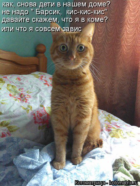 как, снова дети в нашем доме? не надо " Барсик, кис-кис-кис" давайте скажем, что я в коме? или что я... Котоматрица: как, снова дети в нашем доме? не надо " Барсик, кис-кис-кис" давайте скажем, что я в коме? или что я совсем завис