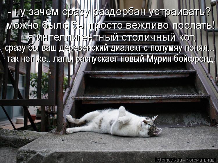 - ну зачем сразу раздербан устраивать? можно было бы просто вежливо послать! я интеллигентный столич... Котоматрица: - ну зачем сразу раздербан устраивать? можно было бы просто вежливо послать! я интеллигентный столичный кот, сразу бы ваш деревенский диал