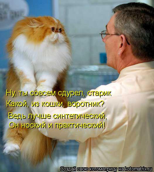 Ну, ты совсем сдурел, старик Какой, из кошки, воротник? Ведь лучше синтетический, Он ноский и пра... Котоматрица: Ну, ты совсем сдурел, старик Какой, из кошки, воротник? Ведь лучше синтетический, Он ноский и практический!