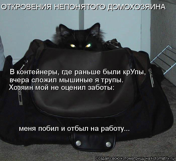 ОТКРОВЕНИЯ НЕПОНЯТОГО ДОМОХОЗЯИНА В контейнеры, где раньше были крУпы, вчера сложил мышиные я трупы.... Котоматрица: ОТКРОВЕНИЯ НЕПОНЯТОГО ДОМОХОЗЯИНА В контейнеры, где раньше были крУпы, вчера сложил мышиные я трупы. Хозяин мой не оценил заботы: меня поби