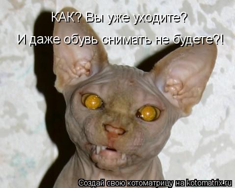 Котоматрица: КАК? Вы уже уходите? И даже обувь снимать не будете?!