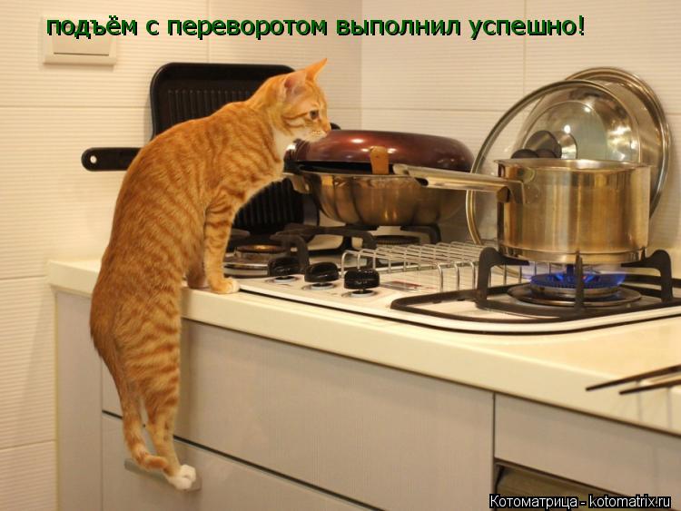 Котоматрица: подъём с переворотом выполнил успешно!