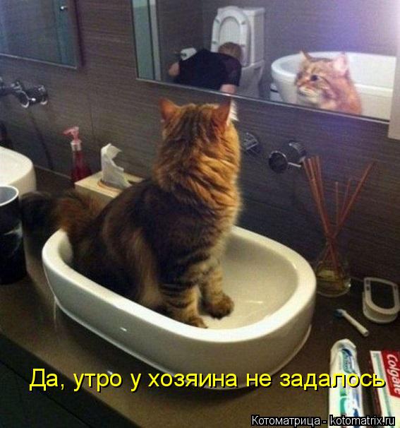 Да, утро у хозяина не задалось... Котоматрица: Да, утро у хозяина не задалось