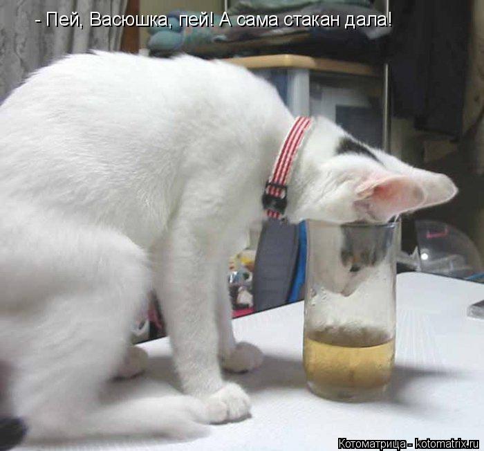- Пей, Васюшка, пей! А сама стакан дала!... Котоматрица: - Пей, Васюшка, пей! А сама стакан дала!