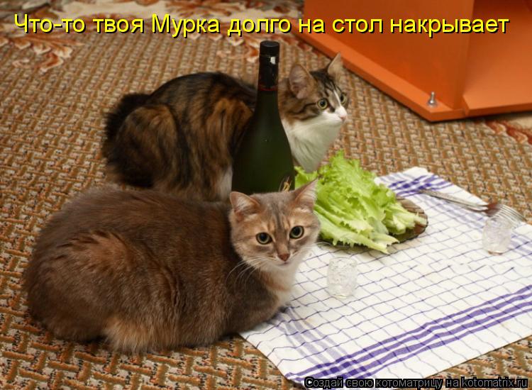 Котоматрица: Что-то твоя Мурка долго на стол накрывает