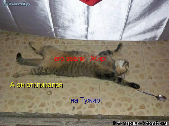 его звали Жир! А он откликался на Тужир!... Котоматрица: его звали Жир! А он откликался на Тужир!