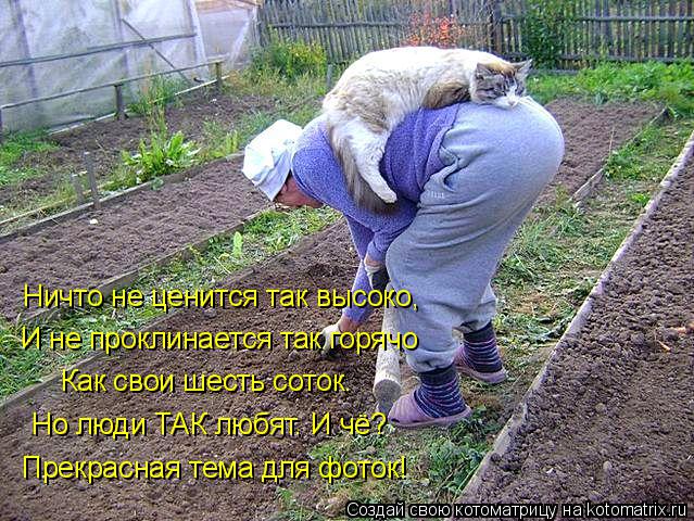 Котоматрица: Ничто не ценится так высоко, И не проклинается так горячо Как свои шесть соток. Но люди ТАК любят. И чё? Прекрасная тема для фоток!