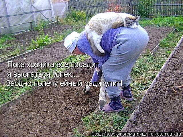 Пока хозяйка все посадит, я выспаться успею... Заодно полечу ейный радикулит!... Котоматрица: Пока хозяйка все посадит, я выспаться успею... Заодно полечу ейный радикулит!