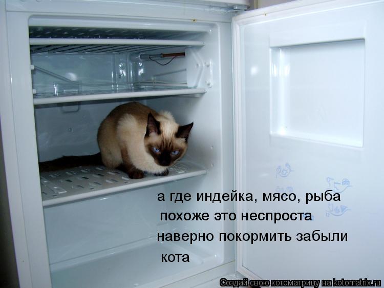 наверно покормить забыли похоже это неспроста похоже это неспроста кота а где индейка, мясо, рыба... Котоматрица: наверно покормить забыли похоже это неспроста похоже это неспроста кота а где индейка, мясо, рыба