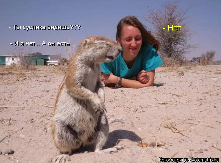 Котоматрица: - Ты суслика видишь??? - Нет - И я нет... А он есть