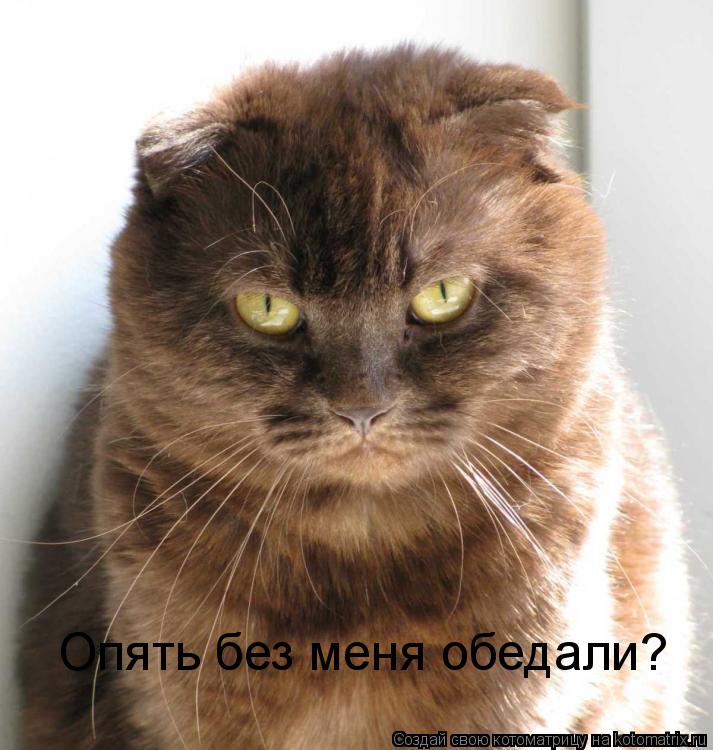 Опять без меня обедали?... Котоматрица: Опять без меня обедали?