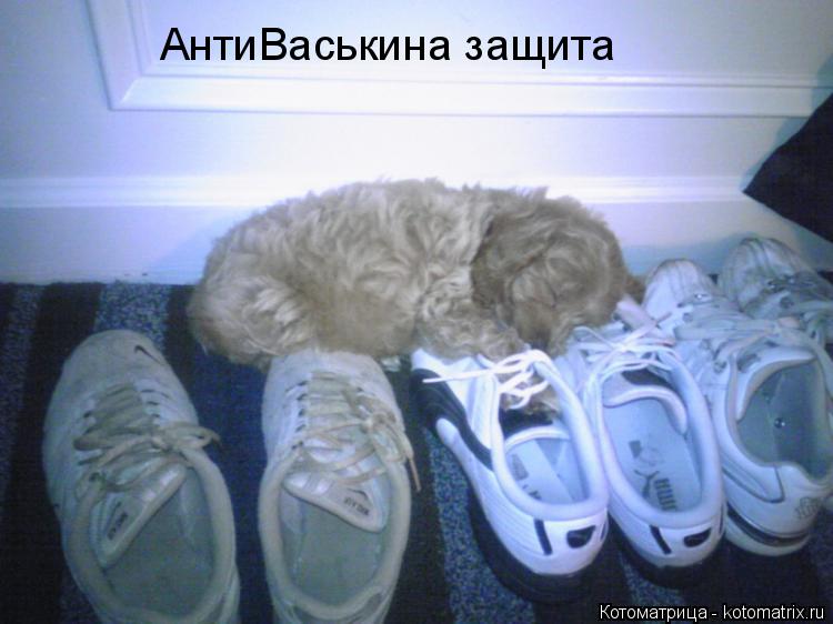 АнтиВаськина защита... Котоматрица: АнтиВаськина защита