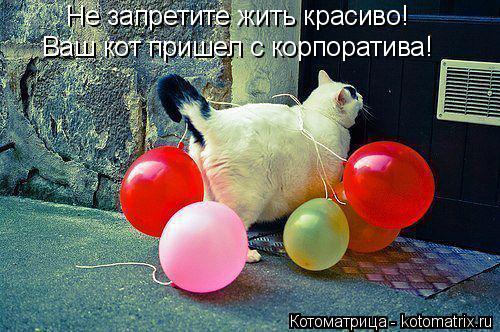 Не запретите жить красиво! Ваш кот пришел с корпоратива Ваш кот пришел с корпоратива!... Котоматрица: Не запретите жить красиво! Ваш кот пришел с корпоратива Ваш кот пришел с корпоратива!