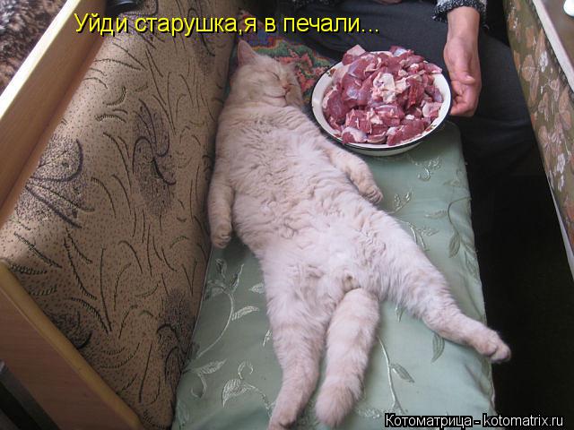 Уйди старушка,я в печали...... Котоматрица: Уйди старушка,я в печали...