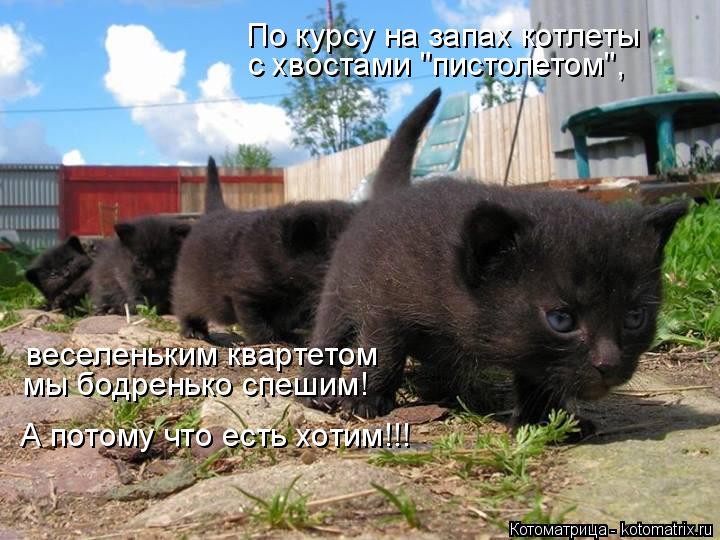 Котоматрица: По курсу на запах котлеты с хвостами "пистолетом", веселеньким квартетом мы бодренько спешим! А потому что есть хотим!!!