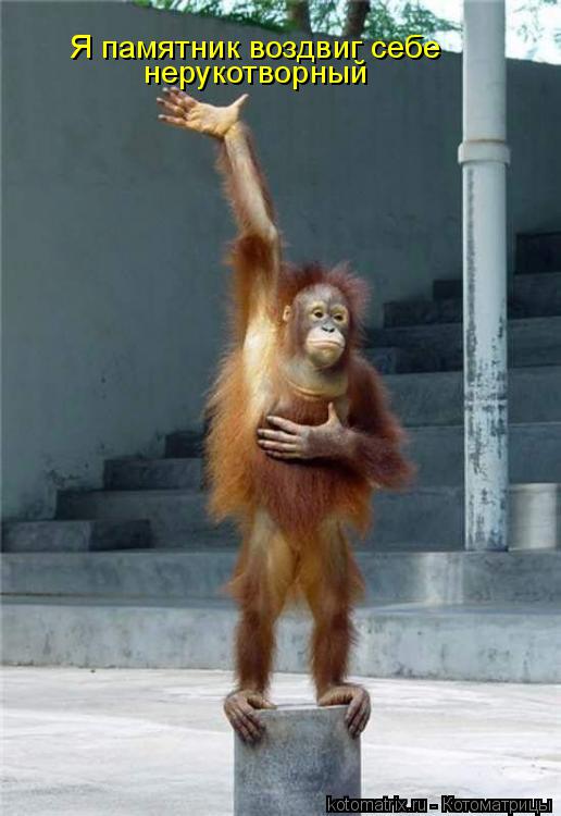 Я памятник воздвиг себе нерукотворный... Котоматрица: Я памятник воздвиг себе нерукотворный