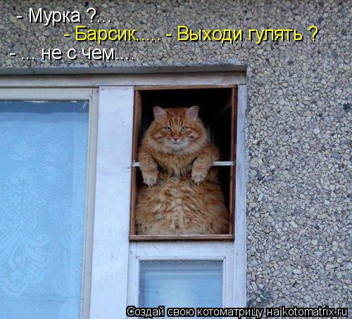 - Мурка ?... - Барсик..... - Выходи гулять ? - ... не с чем....... Котоматрица: - Мурка ?... - Барсик..... - Выходи гулять ? - ... не с чем....