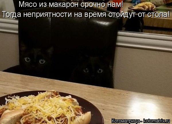 Котоматрица: Мясо из макарон срочно нам!  Тогда неприятности на время отойдут от стола!