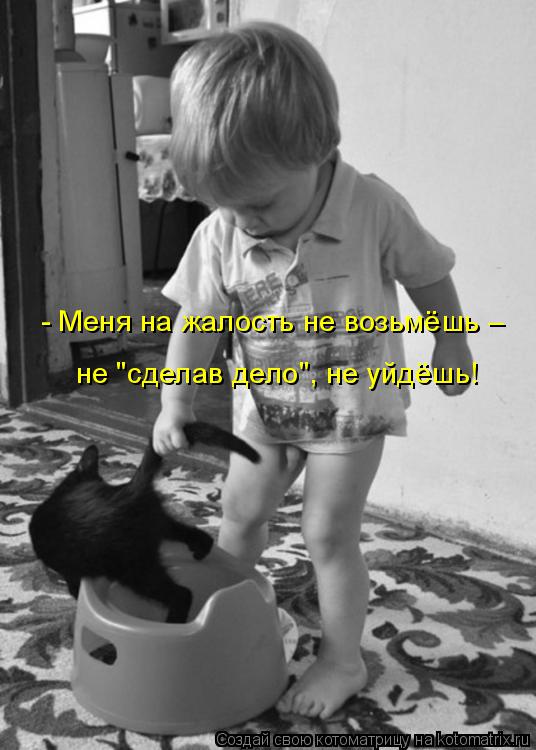 Котоматрица: - Меня на жалость не возьмёшь – не "сделав дело", не уйдёшь!