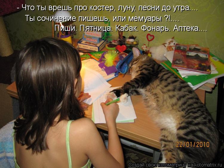 Котоматрица: - Что ты врешь про костер, луну, песни до утра.... Ты сочинение пишешь, или мемуары ?!.... Пиши. Пятница. Кабак. Фонарь. Аптека....