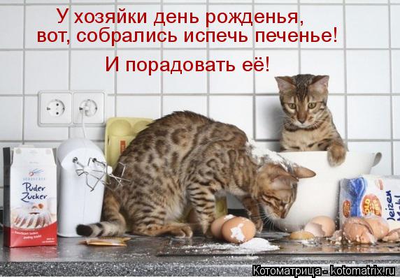 У хозяйки день рожденья, вот, собрались испечь печенье! И порадовать её!... Котоматрица: У хозяйки день рожденья, вот, собрались испечь печенье! И порадовать её!