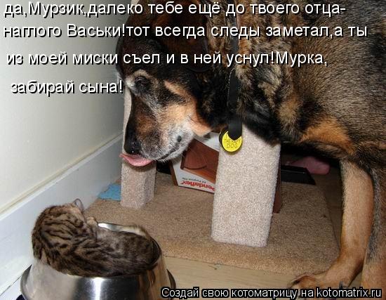наглого Васьки!тот всегда следы заметал,а ты из моей миски съел и в ней уснул!Мурка, да,Мурзик,далек... Котоматрица: наглого Васьки!тот всегда следы заметал,а ты из моей миски съел и в ней уснул!Мурка, да,Мурзик,далеко тебе ещё до твоего отца- забирай сына!