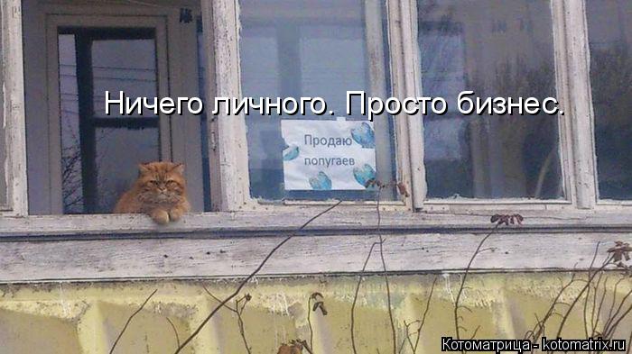 Ничего личного. Просто бизнес.... Котоматрица: Ничего личного. Просто бизнес.