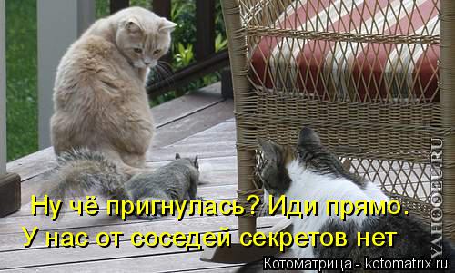 Ну чё пригнулась? Иди прямо. У нас от соседей секретов нет... Котоматрица: Ну чё пригнулась? Иди прямо. У нас от соседей секретов нет