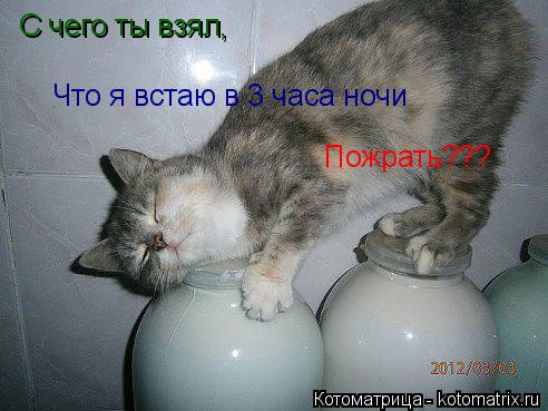 C чего ты взял, Что я встаю в 3 часа ночи Пожрать???... Котоматрица: C чего ты взял, Что я встаю в 3 часа ночи Пожрать???