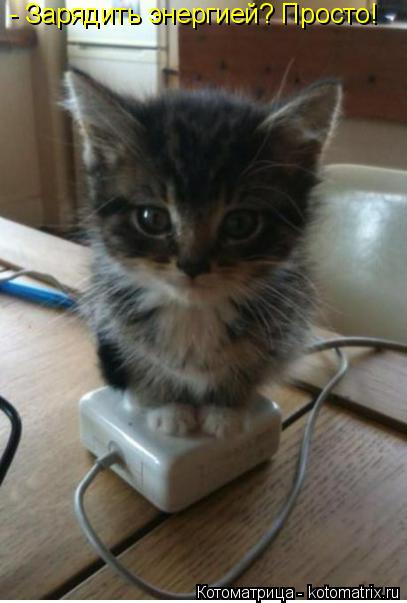 Котоматрица: - Зарядить энергией? Просто!