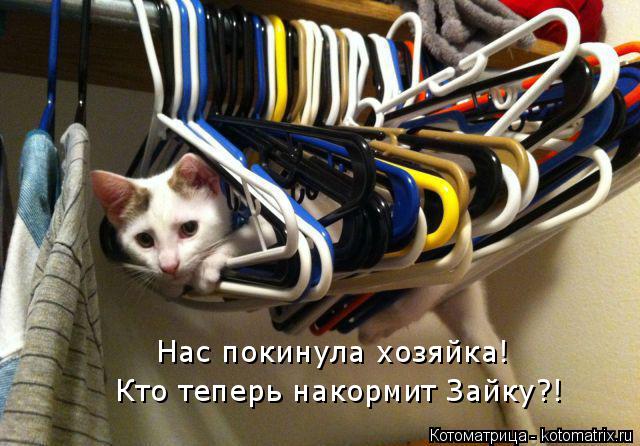 Котоматрица: Нас покинула хозяйка! Кто теперь накормит Зайку?!