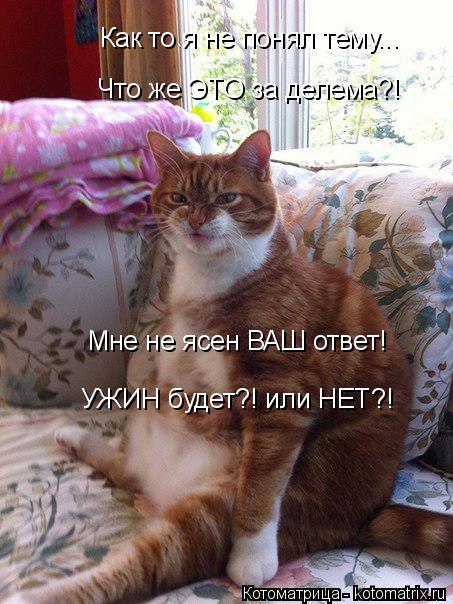 Котоматрица: Как то я не понял тему... Что же ЭТО за делема?!  Мне не ясен ВАШ ответ! УЖИН будет?! или НЕТ?!