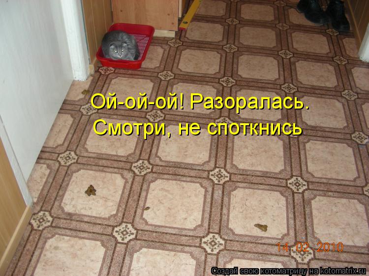 Котоматрица: Ой-ой-ой! Разоралась. Смотри, не споткнись
